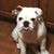 Darla N Alan Berton's profile image