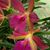 Amparo Gutierrez's profile image