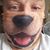 Bruce P David's profile image