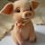 Bonnie Sorine's profile image
