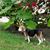 Janet Strang Sayer's profile image