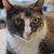 Mona Cristol's profile image