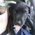 Debra Henrion's profile image