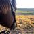 Shanan Pilkington Doherty's profile image