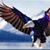 Daniel Kershner's profile image