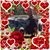 Michele Phillips's profile image
