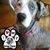Maria McCullough McClanahan's profile image