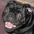 Victoria Baker's profile image
