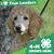 Sheri Tice Bellairs's profile image