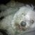 Teddy Kay's profile image
