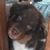 Wendy Wentworth-Boyd's profile image