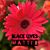 Marsha Turner's profile image