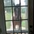 Cindy Heavin's profile image