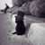 Margie Perrine's profile image