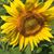 Terrie Barr's profile image