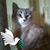 Rita Lambert's profile image
