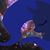 Marcia Donlin's profile image