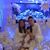 Tina Hoang's profile image