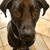 Julie Dunn Nasso's profile image