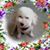 Ellen Conway Singer's profile image