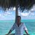 Wendy Allen's profile image