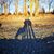 Karen Fischer's profile image