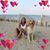Stacie Nicole Biro's profile image