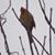 George J Ingalls's profile image