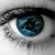 Lynn Lowrance's profile image