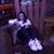 Celia Amaya's profile image
