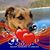 Kim Shiflett's profile image