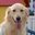 Richard Schutt's profile image