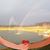Susan Wickline's profile image