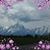Kelli Thornton-Ladig's profile image