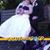 Cathie Walker's profile image
