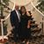 Joanne Casale Botelho's profile image