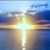 Shirley Gerace's profile image