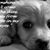 LeeAnn Lewis's profile image