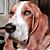 Denise Parmentier's profile image