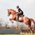 Jenny McKinney's profile image