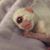 Michael Cramer's profile image