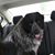Pamela Loveless-Johnson's profile image
