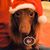 Brian Davidson's profile image