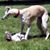 Jeanne Ashman's profile image