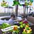 Barbara Scoggins's profile image