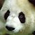 Tony Mwapy's profile image