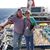 Donna Marie Shanks's profile image