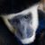 Joe Fratianni's profile image