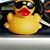 Trish King's profile image