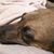 Michelle Guider's profile image